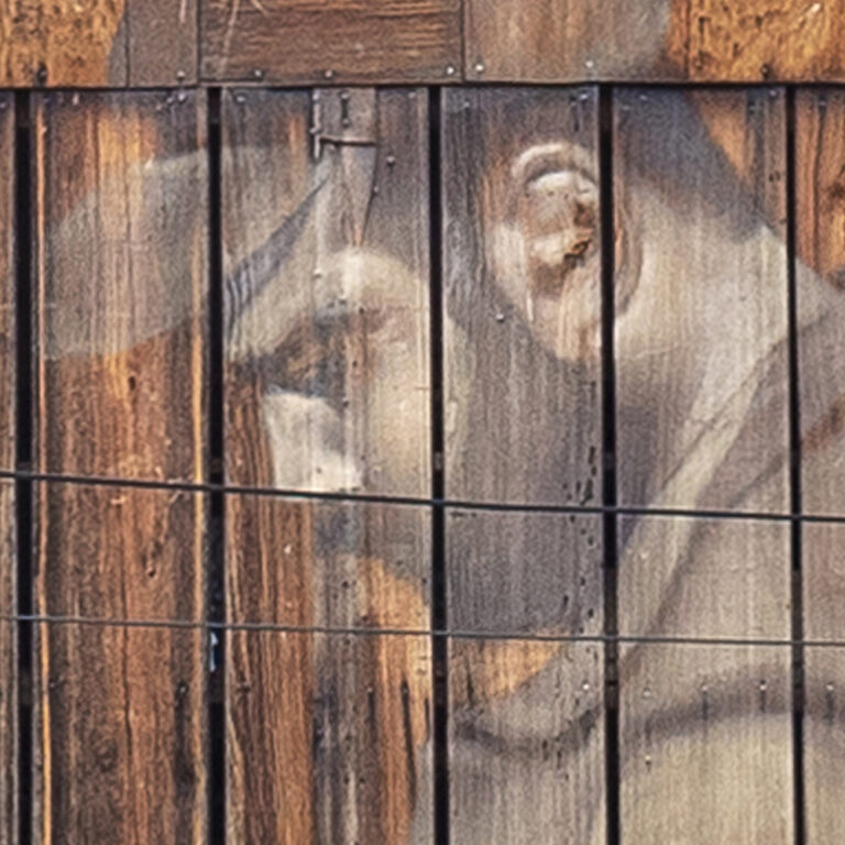 IL PASTORE